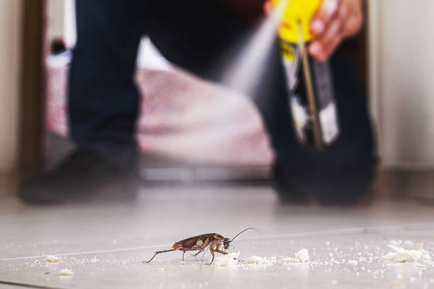 Reliable Memphis, TX Pest Control Solutions